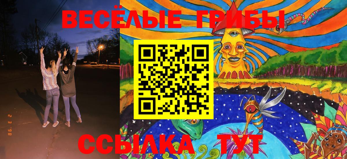 Псилоцибиновые грибы Psilocybine cubensis Стрежевой