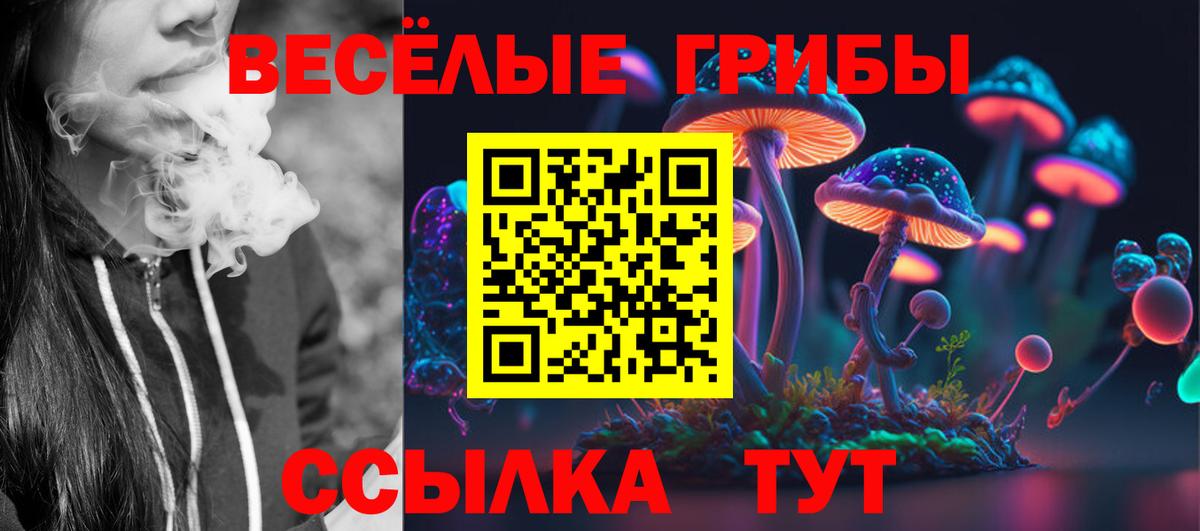купить закладку  Псилоцибиновые грибы ЛСД  Вход с VPN  Псилоцибиновые грибы MAGIC MUSHROOMS  Стрежевой 